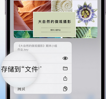 青浦apple维修中心分享iPhone文件应用中存储和找到下载文件