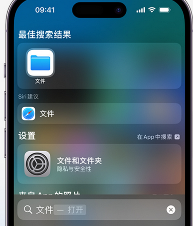 青浦apple维修中心分享iPhone文件应用中存储和找到下载文件 