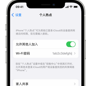 青浦apple服务站点分享iPhone上个人热点丢失了怎么办