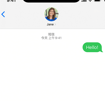 青浦apple维修iPhone上无法正常发送iMessage信息