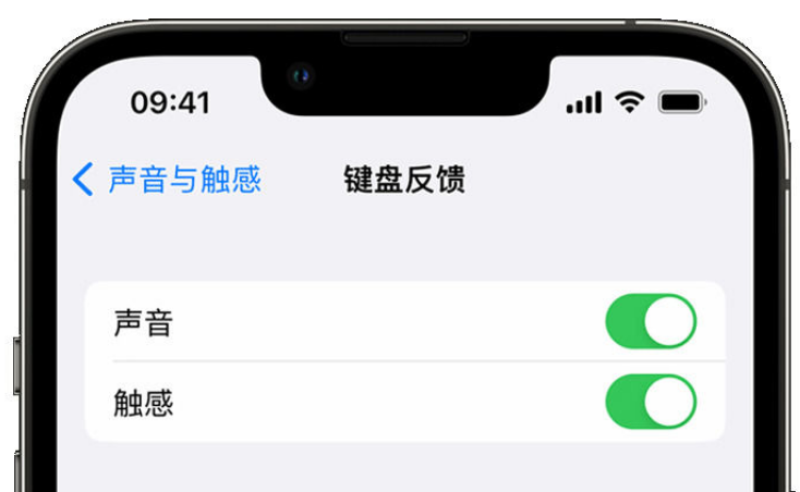 青浦苹果手机维修分享iPhone 14触感键盘使用方法 