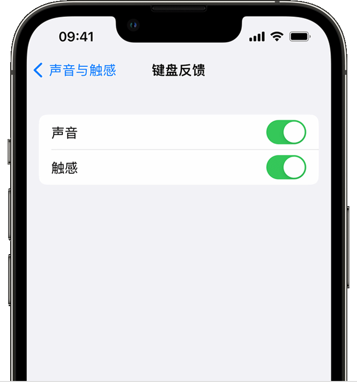 青浦苹果14维修店分享如何在 iPhone 14 机型中使用触感键盘 