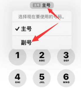 青浦苹果14维修店分享iPhone 14 Pro Max使用副卡打电话的方法 