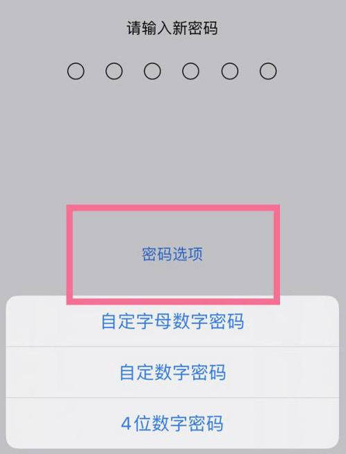 青浦苹果14维修分享iPhone 14plus设置密码的方法 