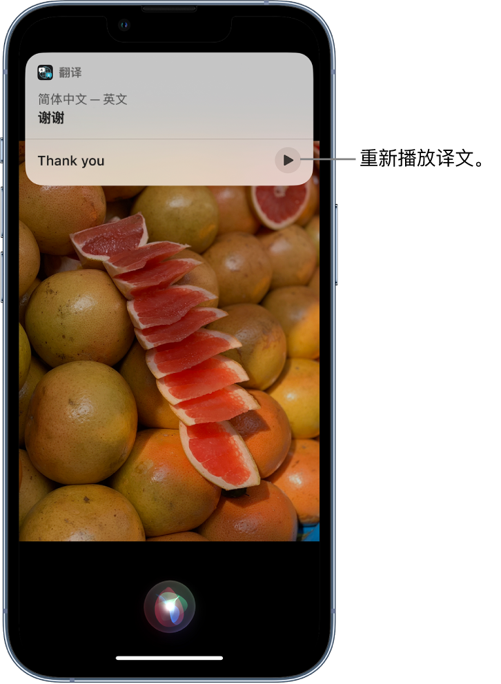 青浦苹果14维修分享 iPhone 14 机型中使用 Siri：了解 Siri 能帮你做什么 