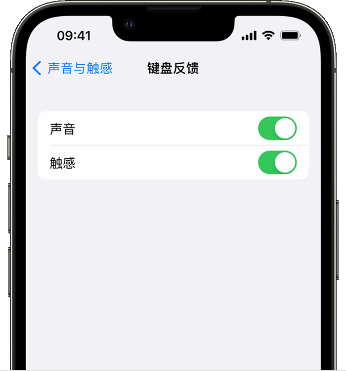 青浦苹果14维修分享iPhone 14 系列机型如何开启键盘声音或触感反馈 