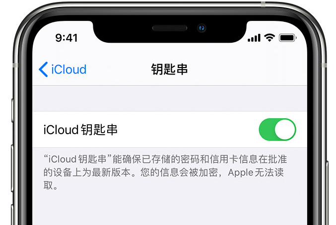 青浦苹果手机维修分享在 iPhone 上开启 iCloud 钥匙串之后会储存哪些信息 