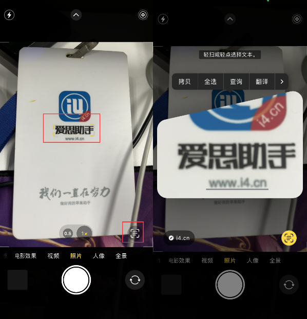 青浦苹果手机维修分享升级iOS 16后如何通过相机翻译文本 