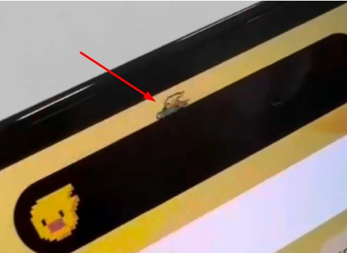 青浦苹果14维修分享iPhone 14 Pro Max灵动岛怎么养宠物 