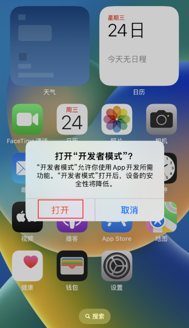 青浦苹果手机维修分享如何打开开发者模式 