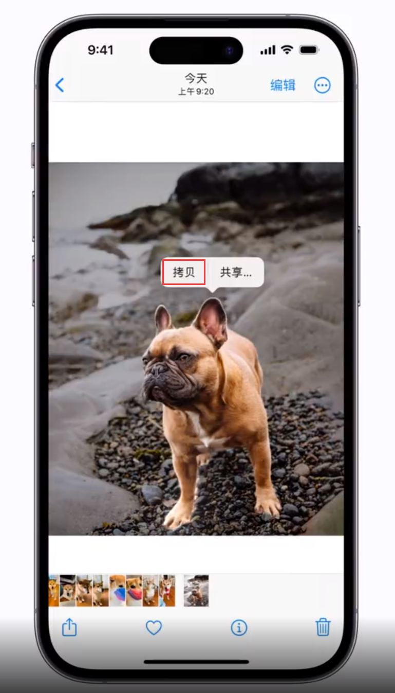 青浦 苹果手机维修分享iOS 16 “照片”应用更新内容与改进汇总 