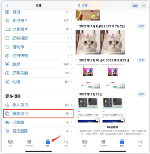 青浦苹果手机维修分享iOS 16 中相册重复项目功能使用方法 