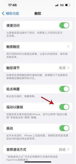 青浦苹果手机维修分享iPhone手机如何设置摇一摇删除文字 