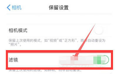 青浦苹果13维修分享iPhone13拍照有绿点是怎么回事 