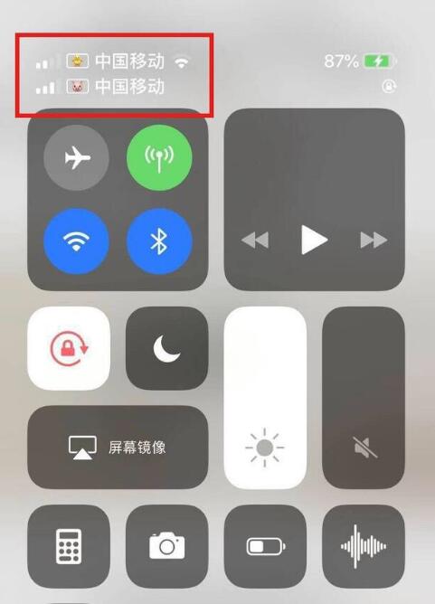 青浦苹果手机维修分享为 iPhone 12 双卡设置标签 