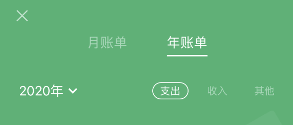 青浦苹果手机维修分享如何在 iPhone 上查看支付宝和微信年支出账单 