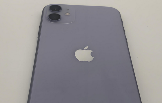 青浦苹果11系统维修分享iPhone11手机系统崩溃无法开机如何解决 